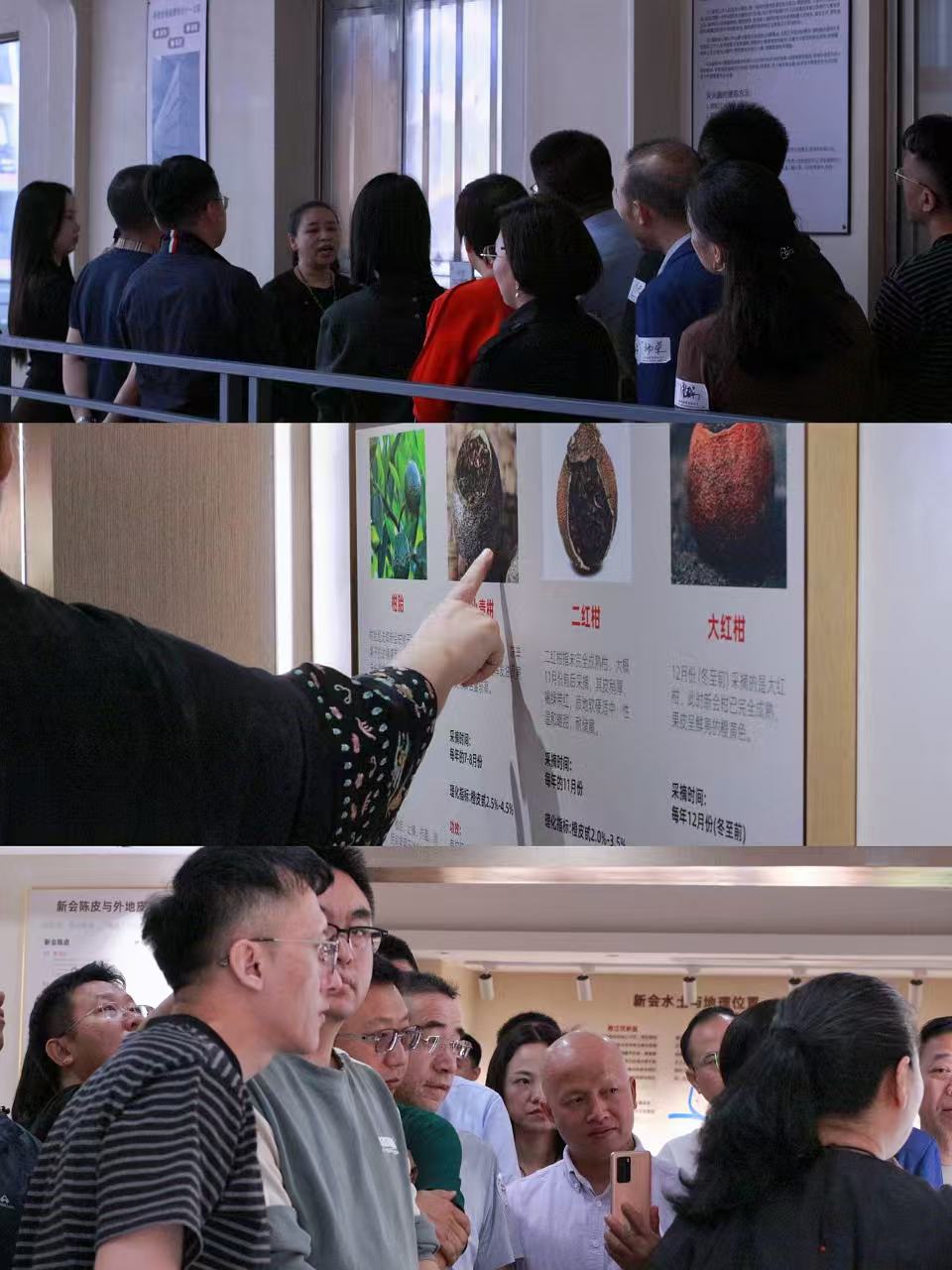 微信图片_20251117160413_195_8.jpg
